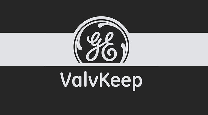 Valve Database Customer Portal